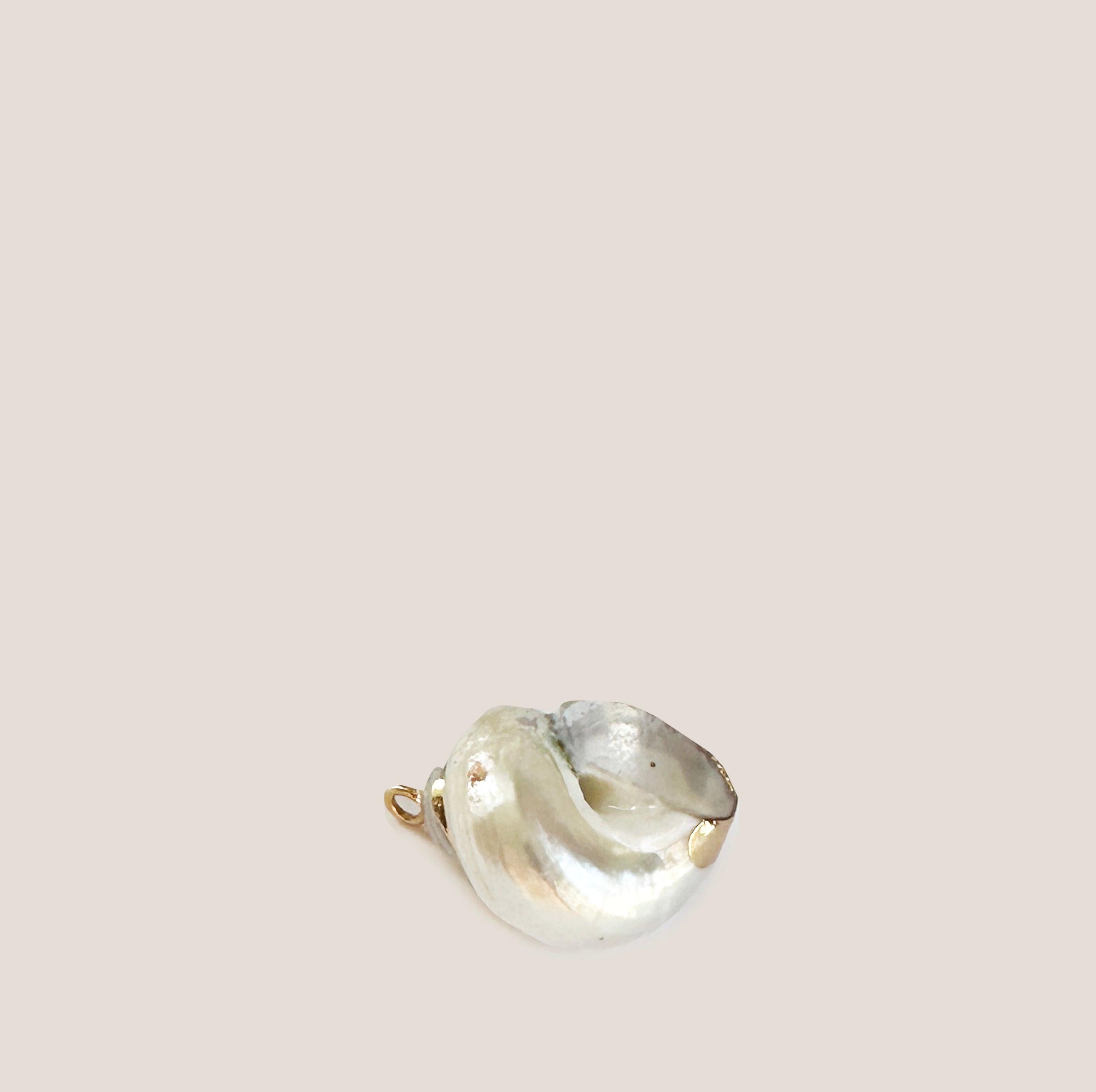 MME MINK. CONCH SHELL Charm
