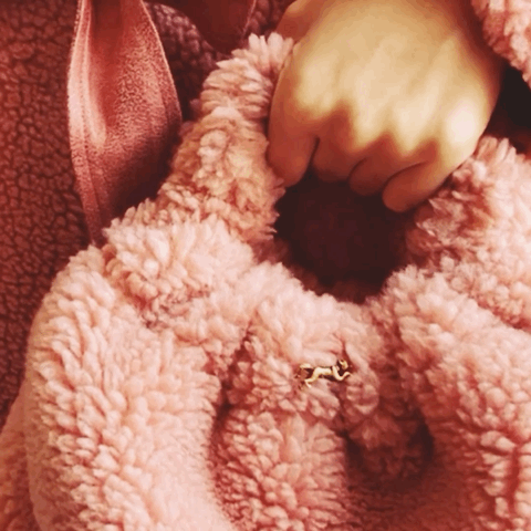 The BONBON TEDDY Tote ROSE